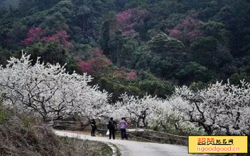 巽寮度假附近景点御景峰国家森林公园