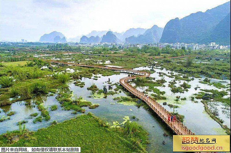 都安澄江国家湿地公园景点照片