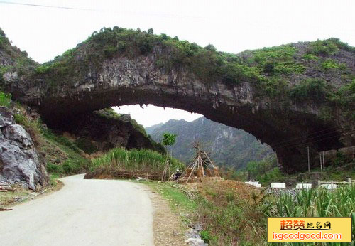 江洲仙人桥景点照片