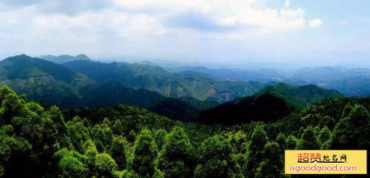 成均附近景点六万大山森林公园