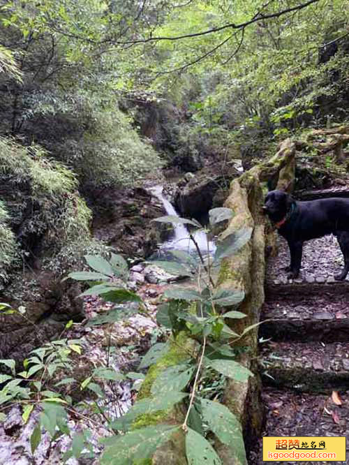 野人谷景区景点照片