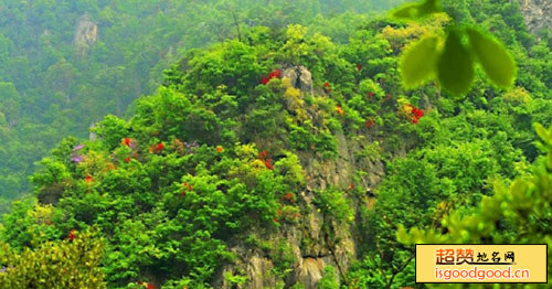 龙山寨景点照片