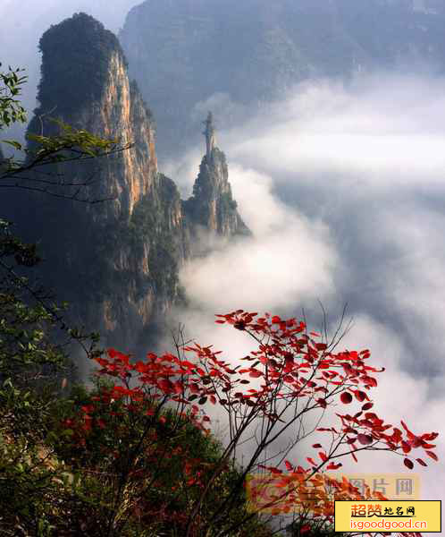 净坛峰景点照片