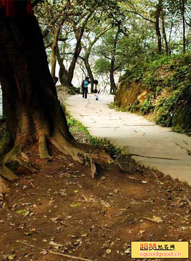 黄桷古道景点照片