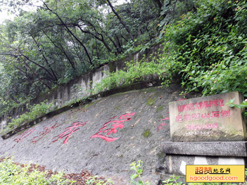 舒坪附近景点自贡龙凤山公园