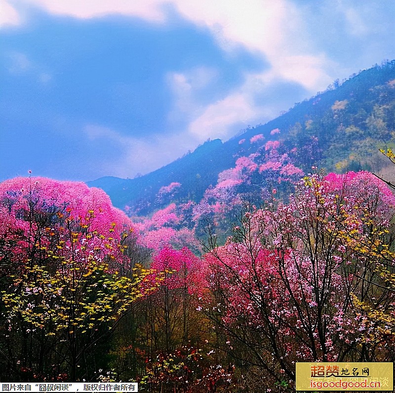 北川县绵阳北川药王谷绵阳北川药王谷