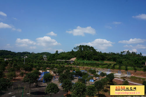 太山研学旅行基地景点照片