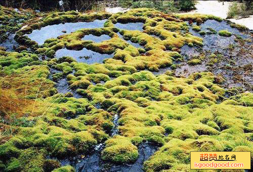 知木林附近景点卡龙沟风景区