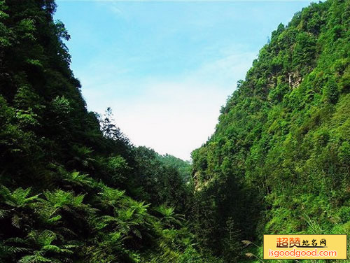 观斗苗族附近景点龙抱山自然风景区