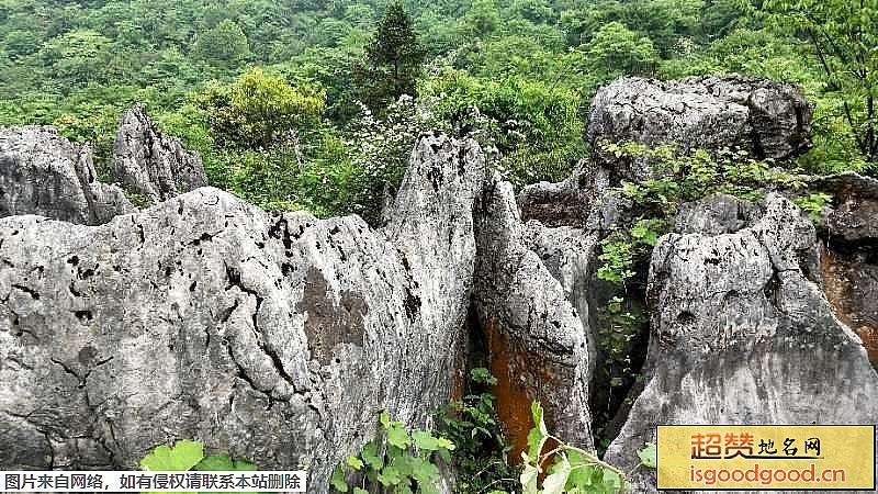 西部竹石林风景区景点照片