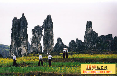 挽澜附近景点竹林堡石林