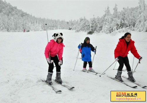 玉舍国家森林公园滑雪场景点照片