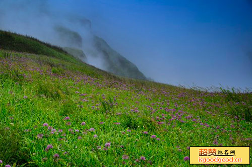 黄土坡附近景点韭菜坪