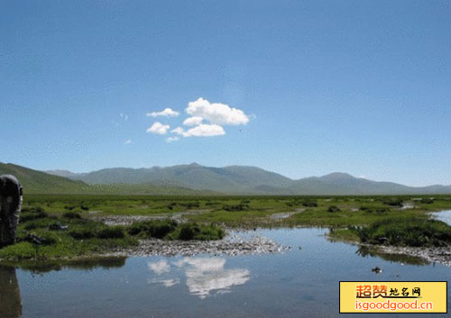 运城湿地自然保护区景点照片