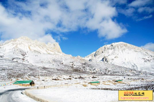 白马雪山垭口景点照片