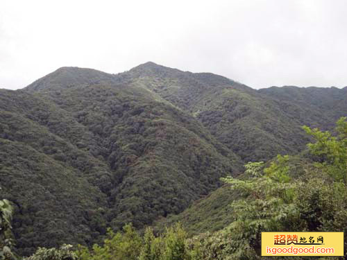 追栗街附近景点薄竹山