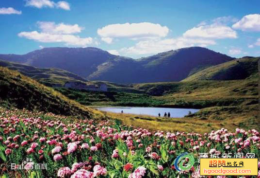 芹池附近景点析城山