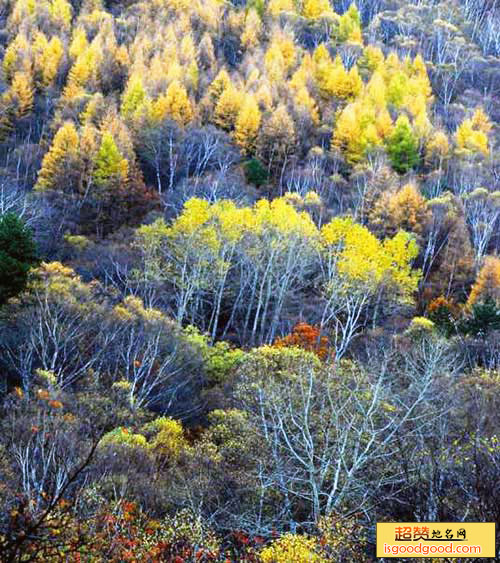 太岳山森林公园景点照片