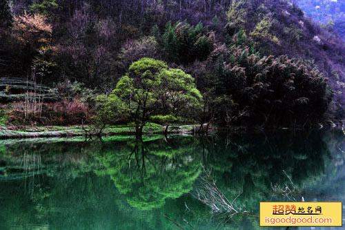 迷坝附近景点康县梅园河国家湿地公园