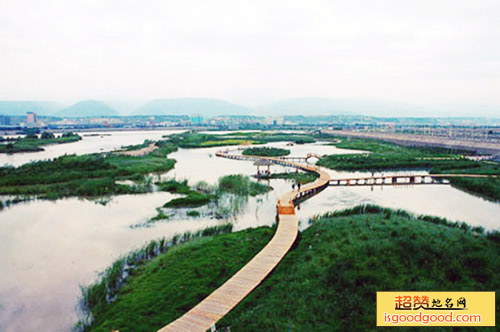 兰州银滩湿地公园景点照片