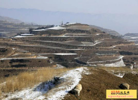 中坝藏族附近景点乐都南山