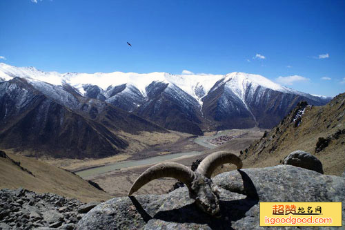 岗龙附近景点班玛仁脱山