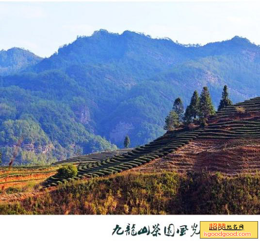 九龙山景点照片