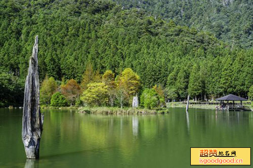 明池森林游乐区景点照片