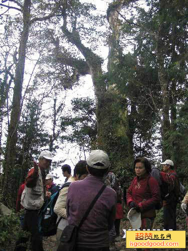 南投县溪头风景区溪头风景区