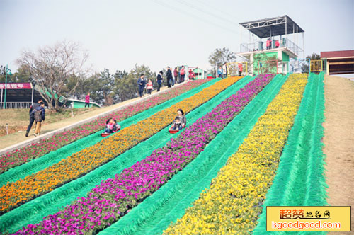 花海乐园景点照片