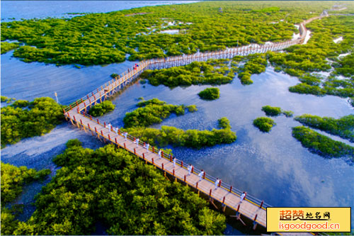 北海金海湾红树林生态旅游区景点照片