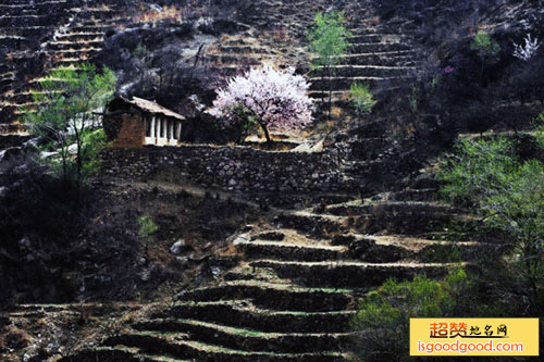 大汖村景点照片