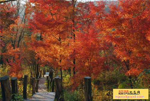 横头山国家森林公园景点照片