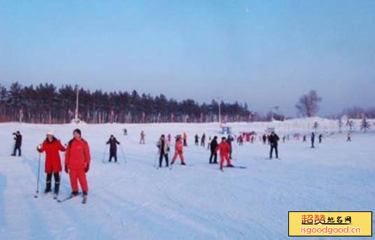 哈尔滨名都滑雪场景点照片