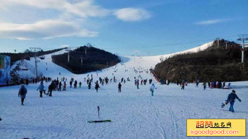 哈尔滨月亮湾滑雪场景点照片