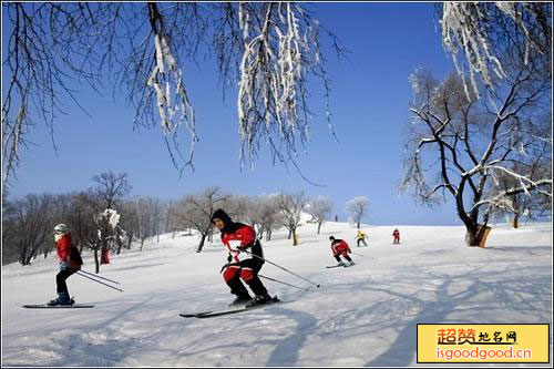 平山神鹿滑雪场景点照片