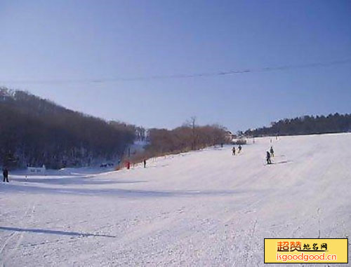 龙珠二龙山滑雪场景点照片