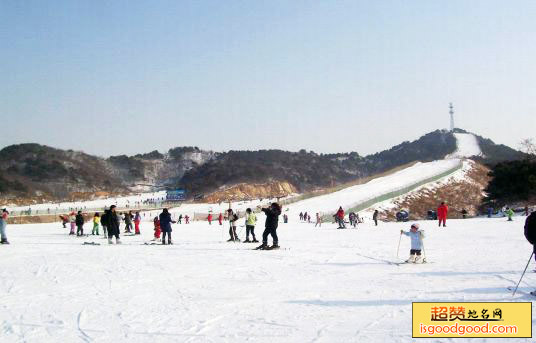 白清寨滑雪场景点照片