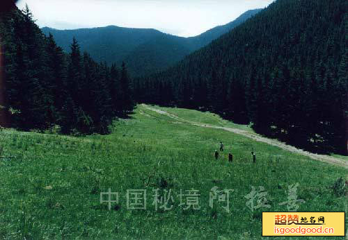 贺兰山国家森林公园景点照片