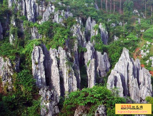 大坝场附近景点思南石林