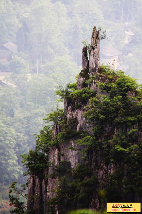 洋山河峡谷景点照片