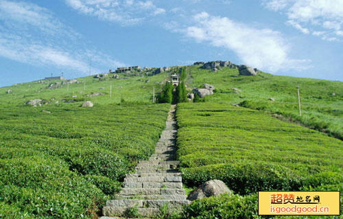 东白山风景区景点照片