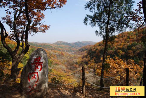 劳山森林公园景点照片