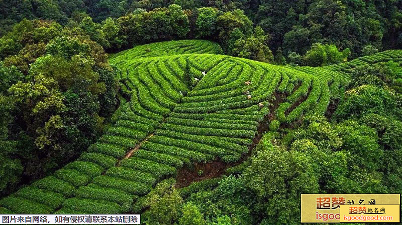 名山区蒙顶山蒙顶山