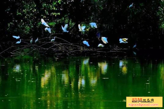 新洲区涨渡湖涨渡湖