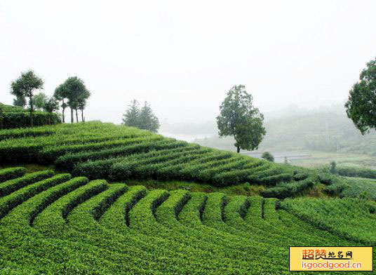 茶山风景区景点照片