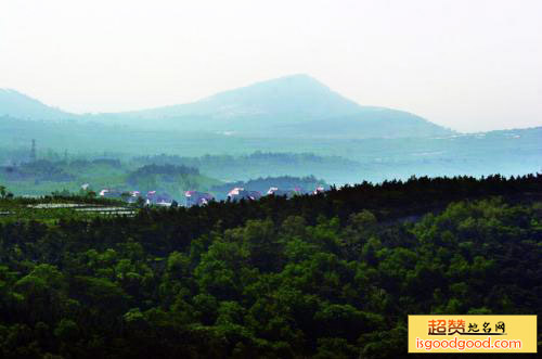 茶山园艺旅游区景点照片