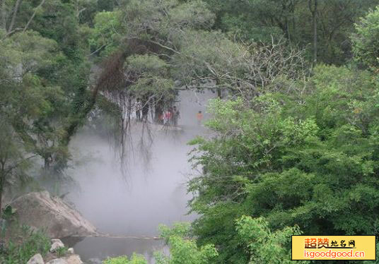 华侨亚热带植物引种园景点照片