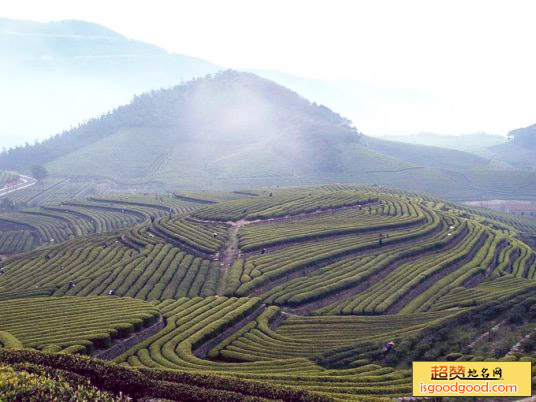 东钱湖福泉山景点照片