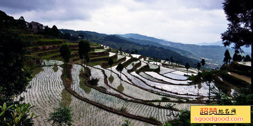 茗岙梯田景点照片